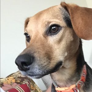 Meet your Posher, Lupe